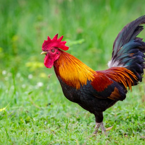 Aula de madrugadores <br/> de 8:00 a 9:00 horas Imagen Aula de madrugadores <br/> de 8:00 a 9:00 horas