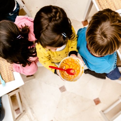 Comedor Escolar Imagen Comedor Escolar