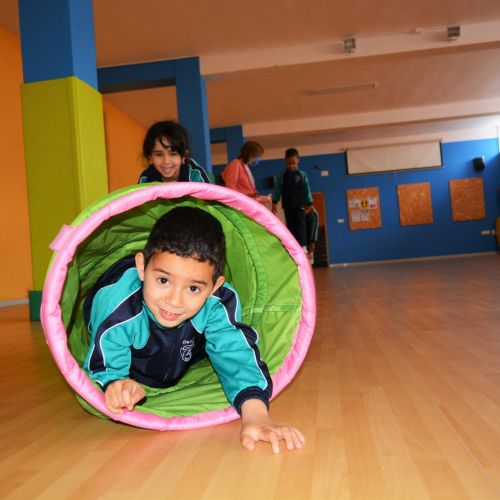 Desarrollo de la Psicomotricidad Multisensorial Desarrollo de la Psicomotricidad Multisensorial