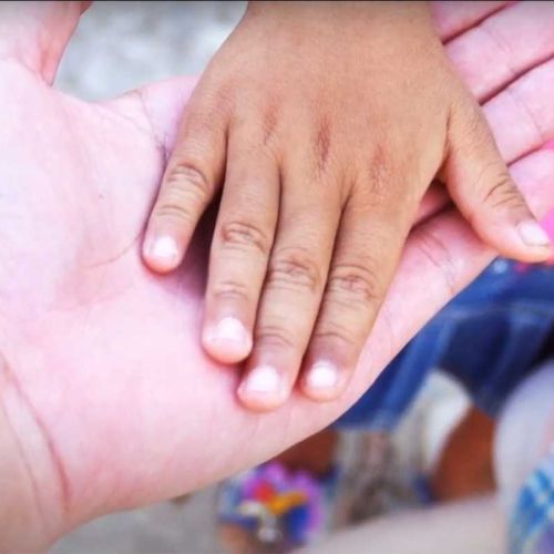 Fomentamos la diversidad como valor en la tolerancia y el respeto Imagen Fomentamos la diversidad como valor en la tolerancia y el respeto