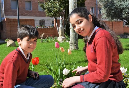 primaria DSC 0047
