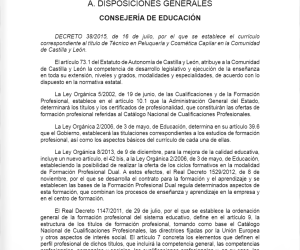 Bocyl D 38.2015 Curriculo Técnico Peluquería y Cosmética Capilar Bocyl D 38.2015 Curriculo Técnico Peluquería y Cosmética Capilar