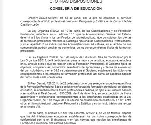 Título Profesional Básico Peluquería y Estética 2014 Título Profesional Básico Peluquería y Estética 2014