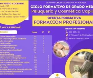 Flyer programa Peluquería y Cosmética Capilar Flyer programa Peluquería y Cosmética Capilar