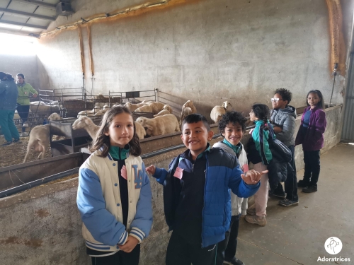 Visita a la granja escuela "Las Cortas de Blas" Visita a la granja escuela "Las Cortas de Blas"